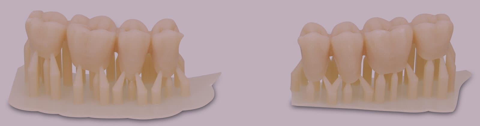 Trabajos de Laboratorio Dental Darriba